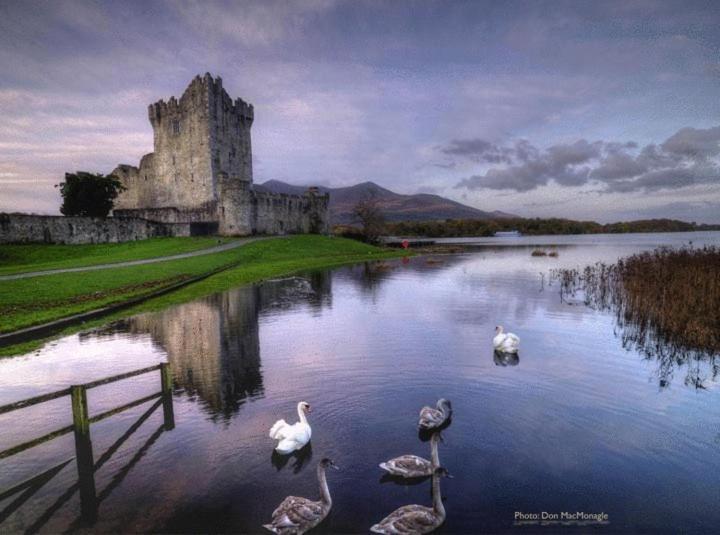 Kathleens Country House Killarney Extérieur photo