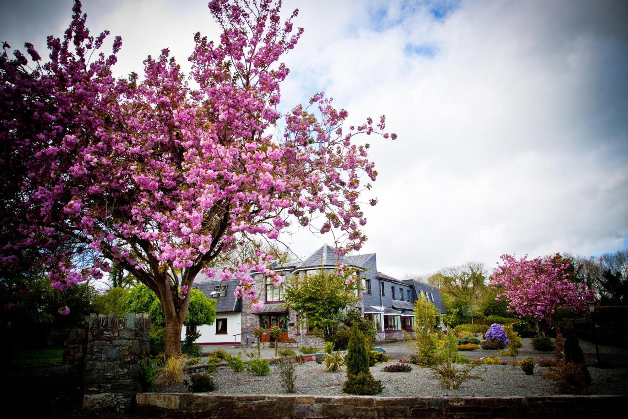 Kathleens Country House Killarney Extérieur photo