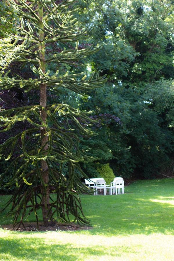 Kathleens Country House Killarney Extérieur photo